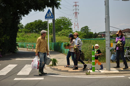 収穫した野菜を、持ち帰ります