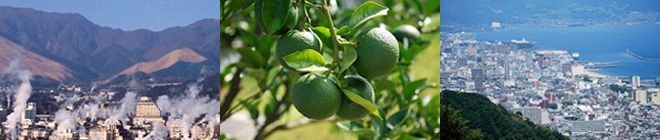 人気商品の柚こしょうも「ゆず」を使って生まれた商品の一つです。