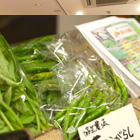 47andparty Vol.1レポート